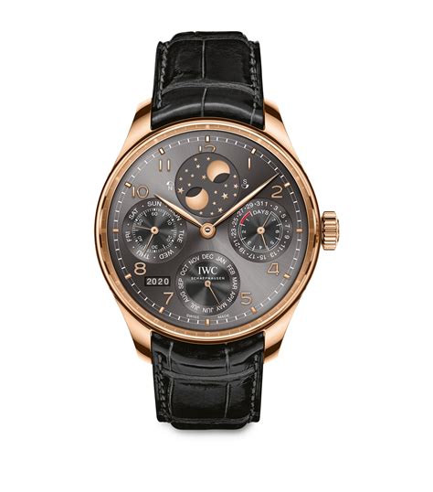 iwc schaffhausen perpetual watch.